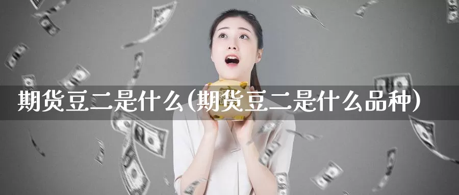 期货豆二是什么(期货豆二是什么品种)_https://www.hbcwei.com_国际期货喊单直播间_第1张