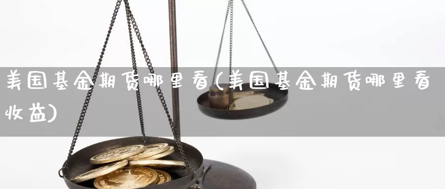 美国基金期货哪里看(美国基金期货哪里看收益)_https://www.hbcwei.com_国际期货喊单直播室_第1张